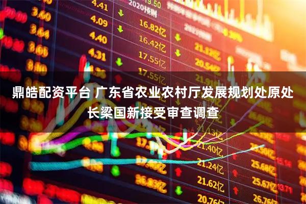 鼎皓配资平台 广东省农业农村厅发展规划处原处长梁国新接受审查调查