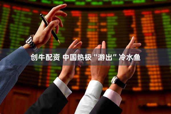 创牛配资 中国热极“游出”冷水鱼