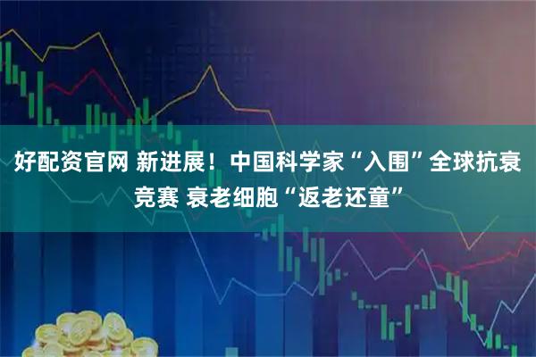 好配资官网 新进展！中国科学家“入围”全球抗衰竞赛 衰老细胞“返老还童”