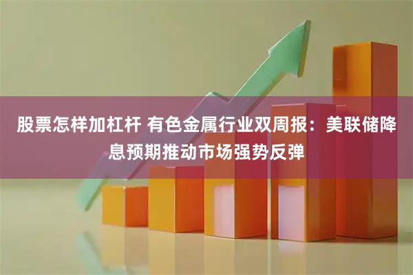 股票怎样加杠杆 有色金属行业双周报：美联储降息预期推动市场强势反弹